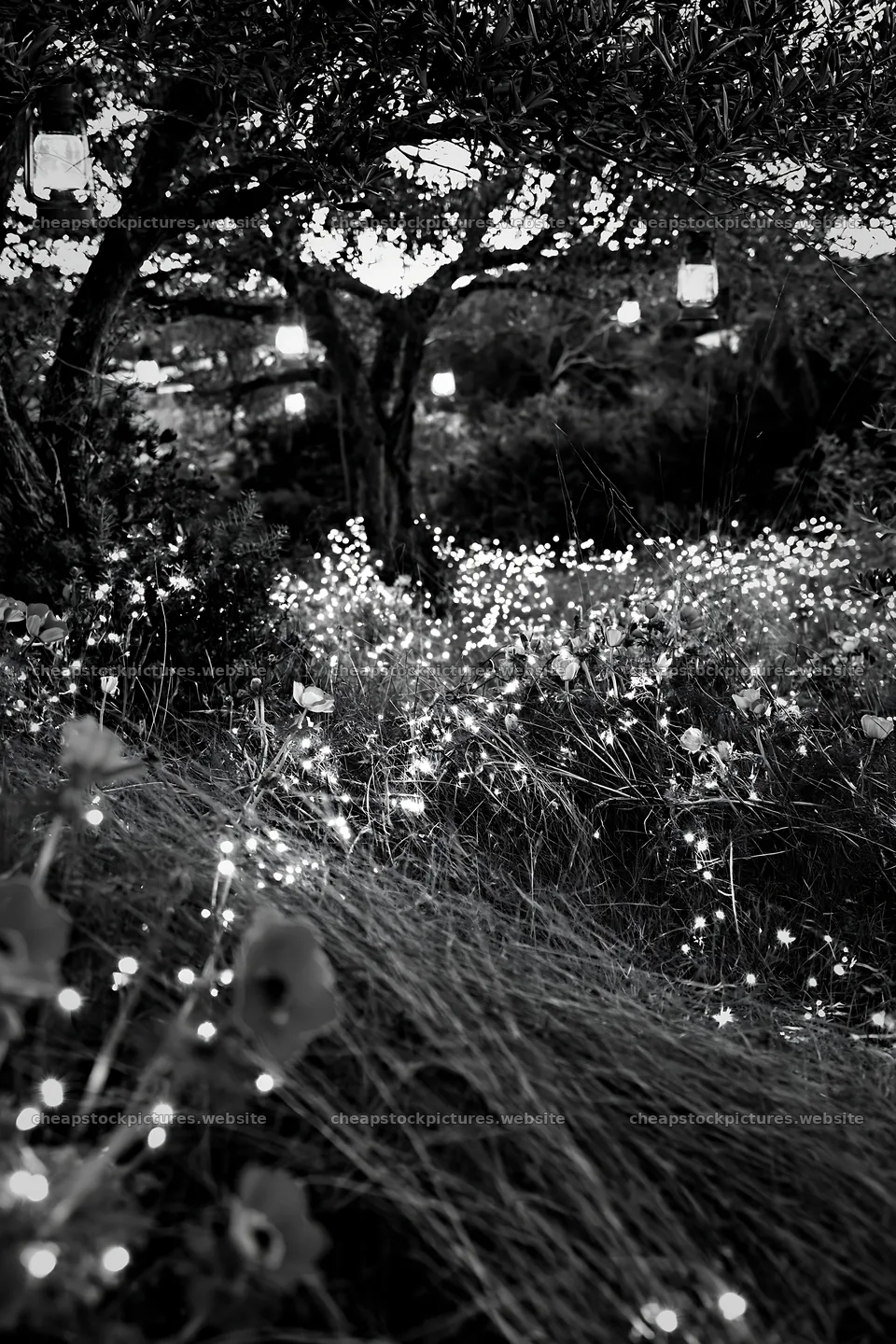 Wide Christmas meadow filled with native flowers and fairy lights – stock pictures 6480x9722