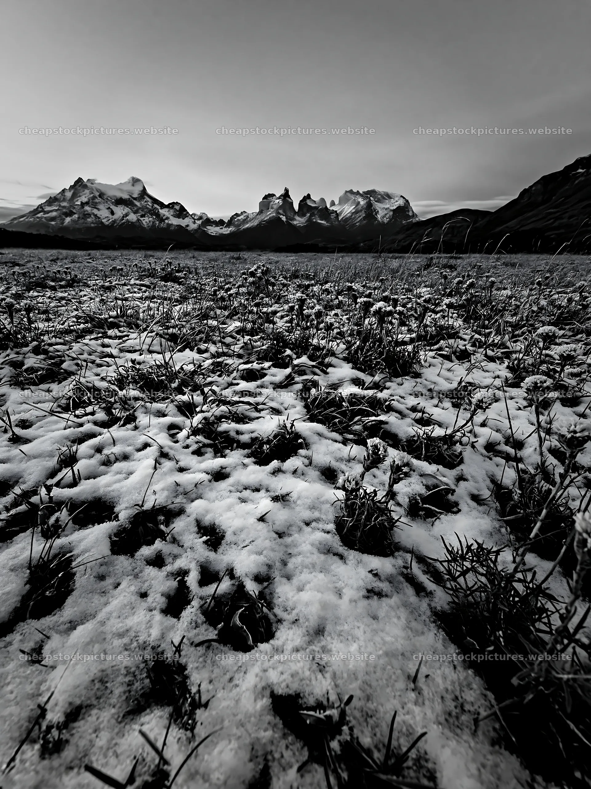 Torres del Paine meadow snow during twilight – stock pictures 6866x9174