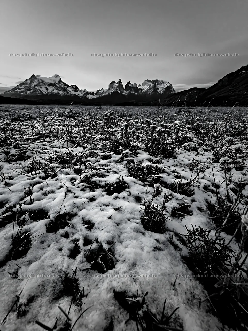 Torres del Paine meadow snow during twilight – stock pictures 6866x9174