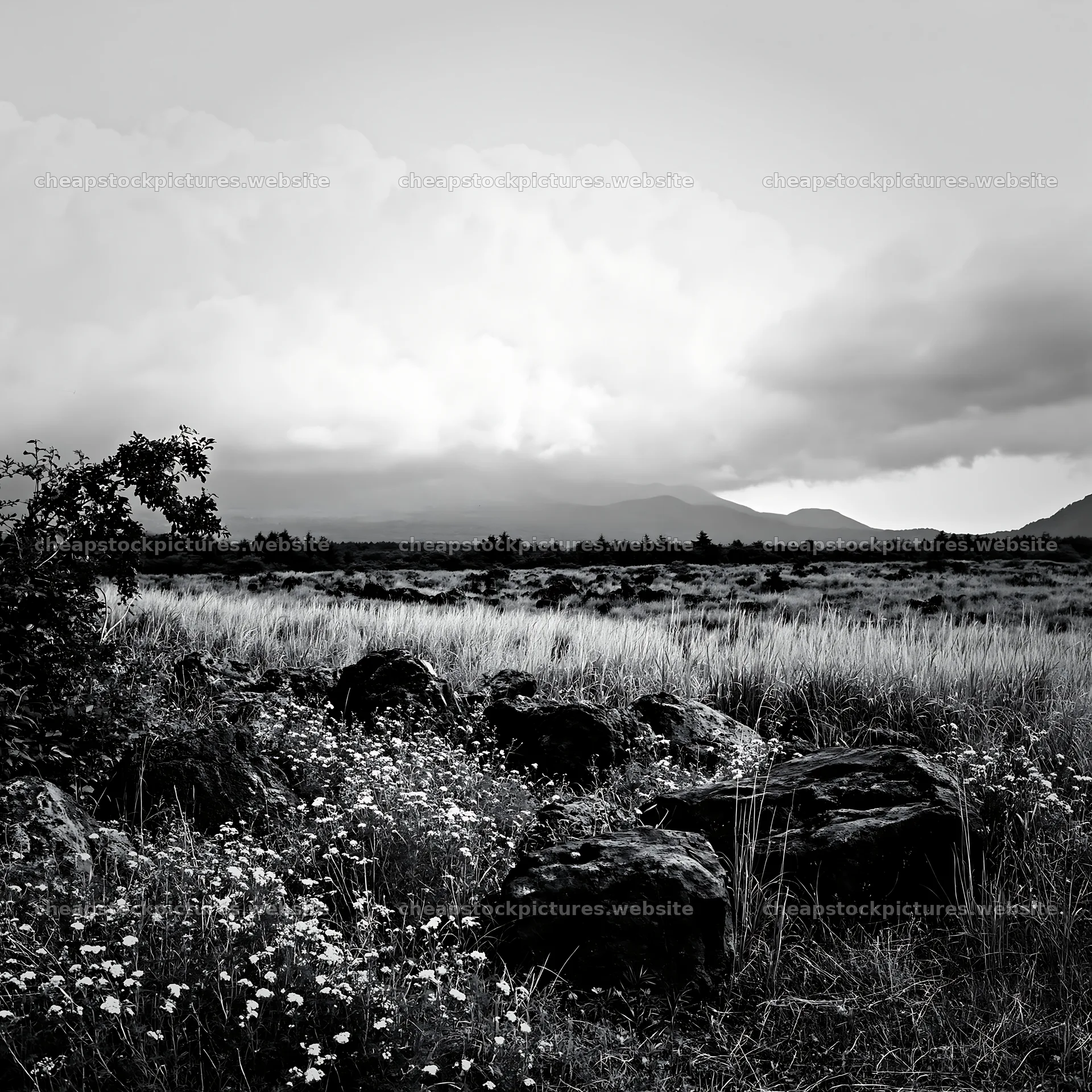 Yamanashi regenerative meadow with basalt stones under cloudy sky – stock pictures 7938x7938