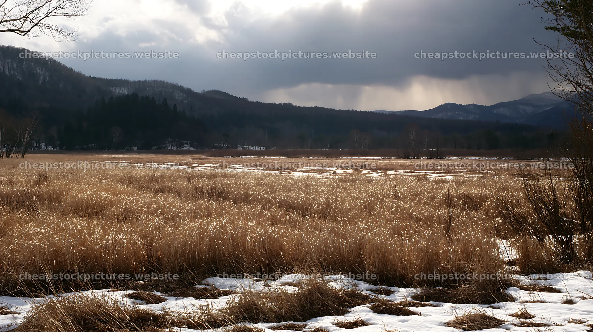 Akita snowmelt meadow with silver grasses under cloudy sky – stock pictures 10608x5938