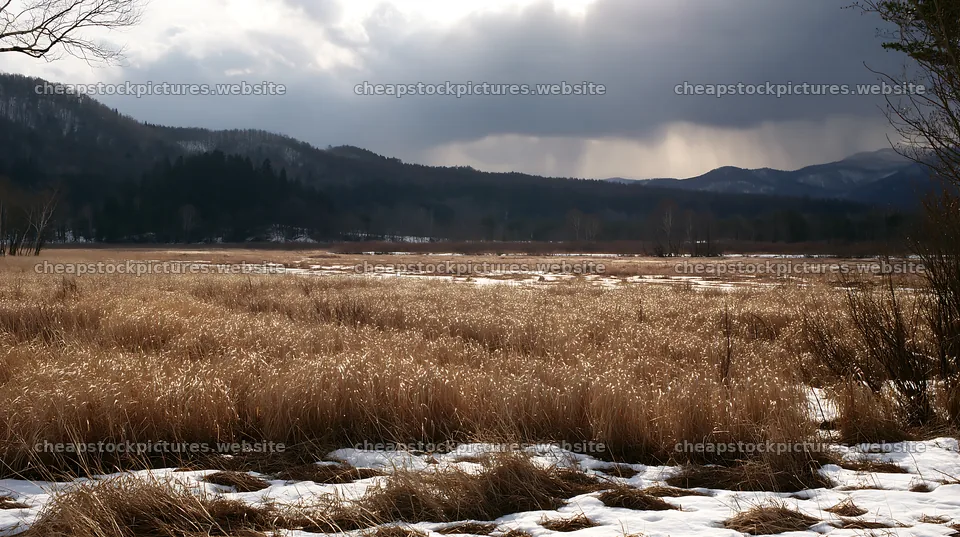 Akita snowmelt meadow with silver grasses under cloudy sky – stock pictures 10608x5938