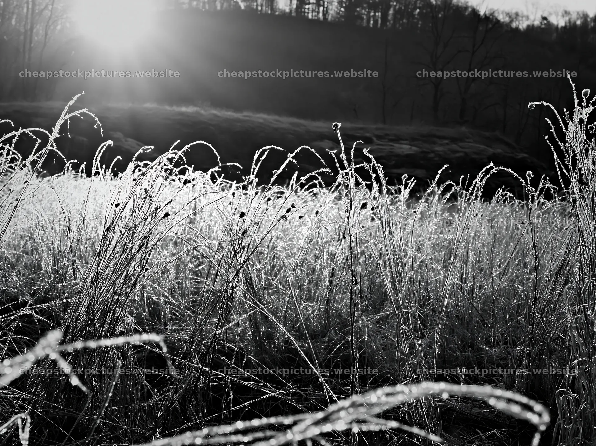 Frosty meadow at sunrise reveals frozen grass and light – stock pictures 9174x6866
