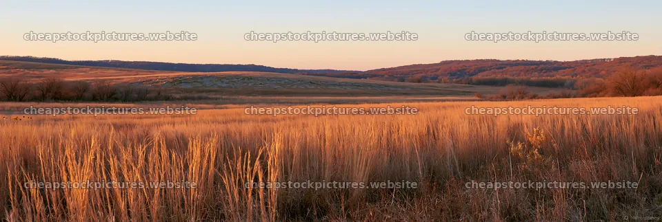 Meadow seedheads backlit at dusk in the countryside – stock pictures 13690x4602