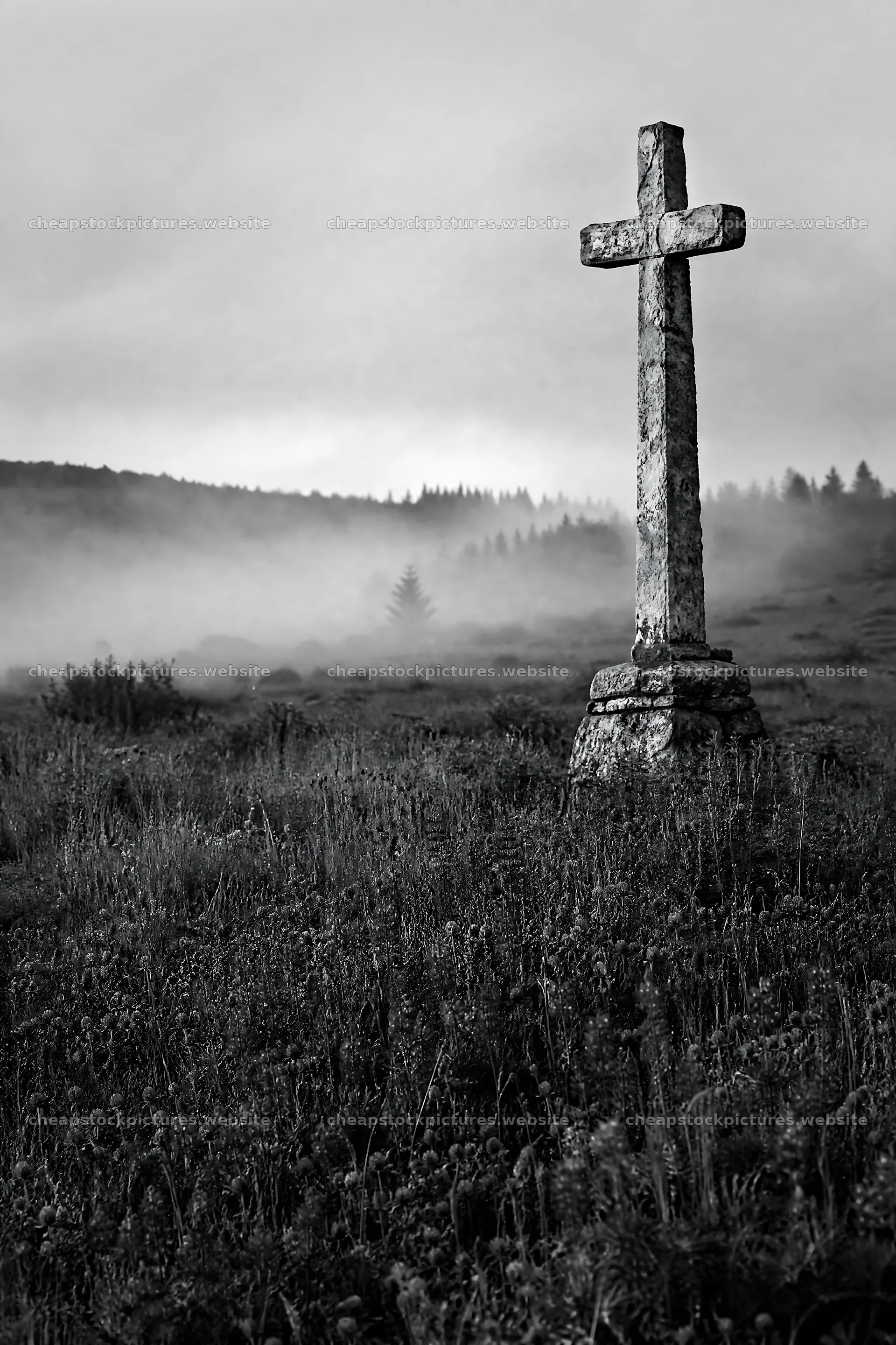Weathered Christian cross in misty meadow at hot springs – stock pictures 6480x9722
