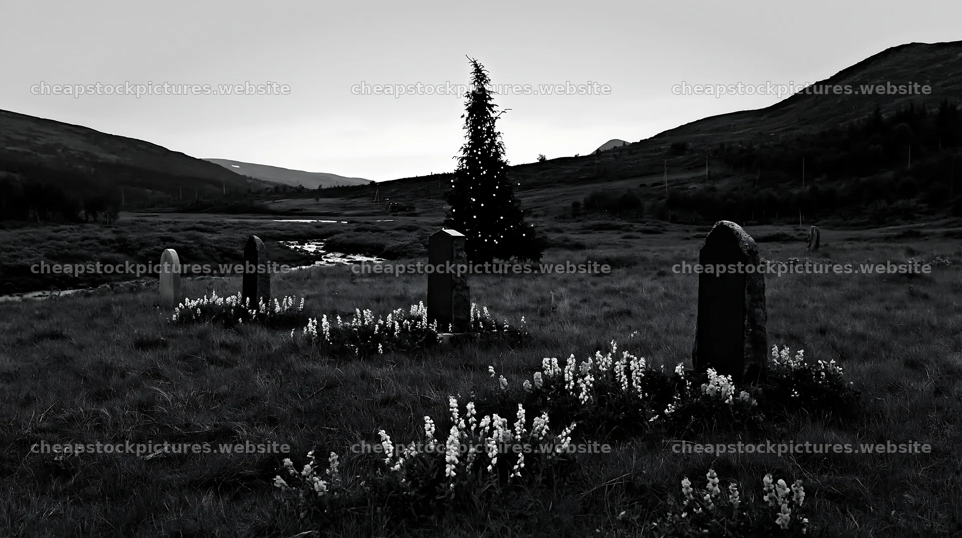 Christmas tree above stream in meadow with gravestones – stock pictures 10608x5938